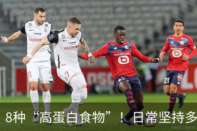 8种“高蛋白食物”！日常坚持多吃，增强体质少生病，全家都适合